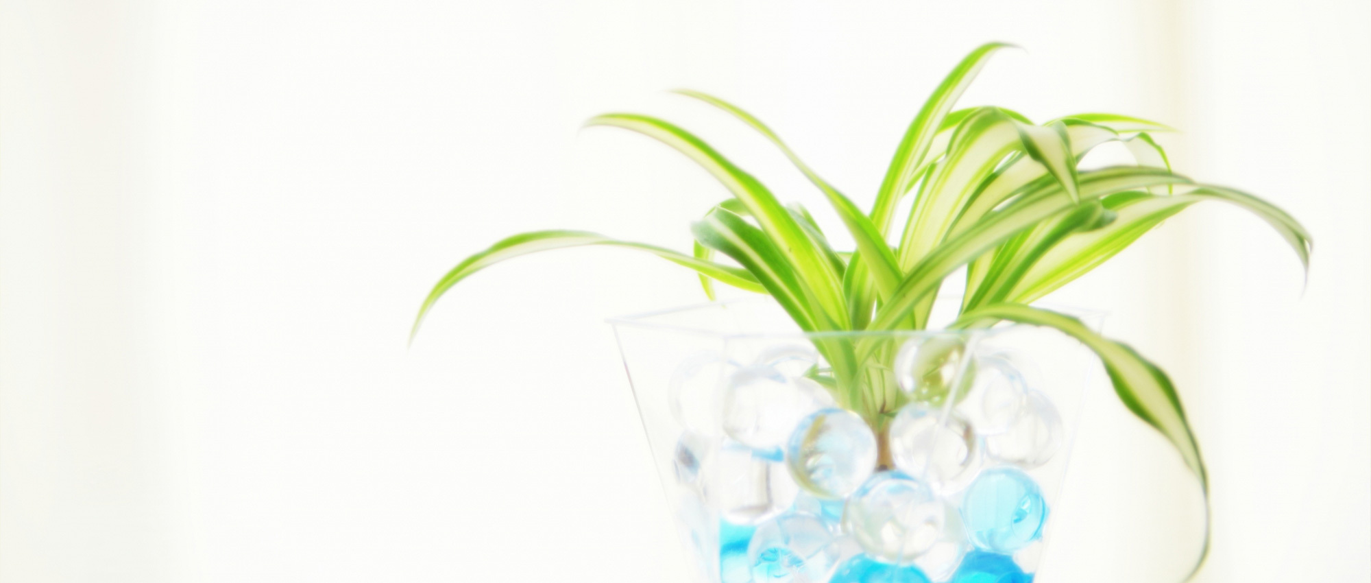 宮崎市村角町島ノ前、東大宮コミュニティセンター停留所、薬局