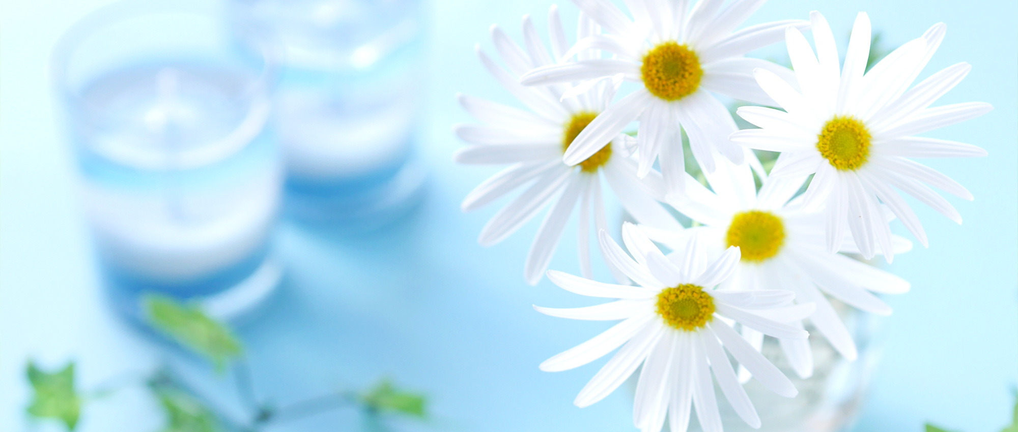 宮崎市村角町島ノ前、東大宮コミュニティセンター停留所、薬局